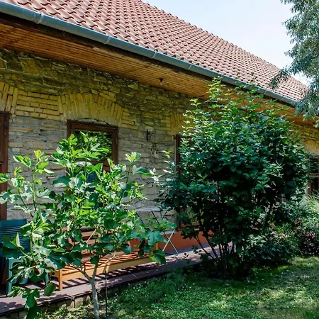 Kohaz Apartman Apartament *