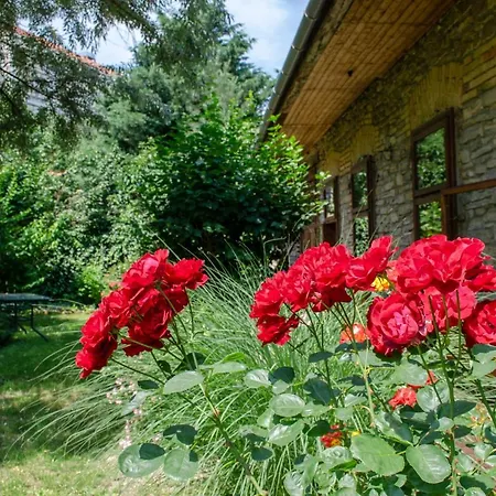 Apartament Kohaz Apartman *